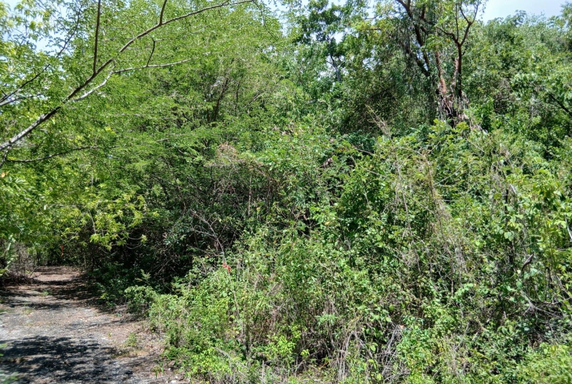 Third image of Block D-lot 101 Albion Heights Boulevard in Albion, St. Thomas, Jamaica - property is For Sale