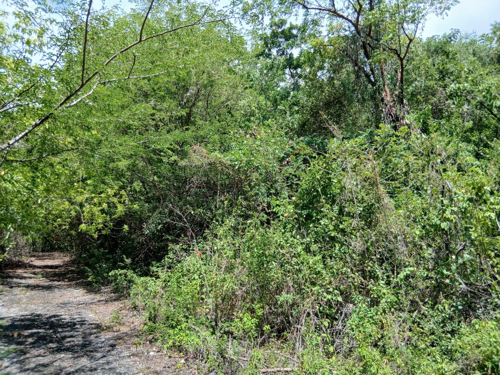 Third image of Block D-lot 101 Albion Heights Boulevard in Albion, St. Thomas, Jamaica - property is For Sale