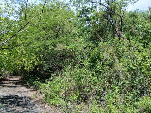 Third image of Block D-lot 101 Albion Heights Boulevard in Albion, St. Thomas, Jamaica - property is For Sale