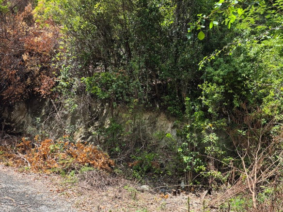First image of Block D-lot 39 Albion Height Boulevard in Albion, St. Thomas, Jamaica - property is For Sale