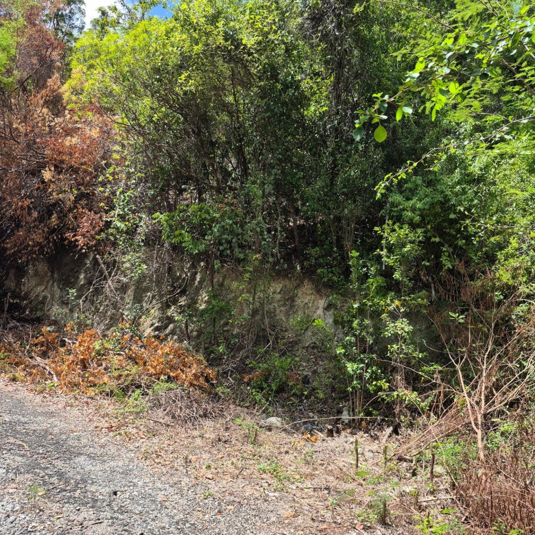 First image of Block D-lot 39 Albion Height Boulevard in Albion, St. Thomas, Jamaica - property is For Sale