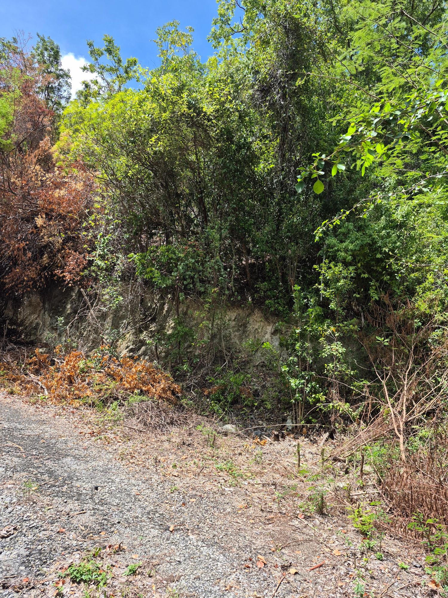 First image of Block D-lot 39 Albion Height Boulevard in Albion, St. Thomas, Jamaica - property is For Sale