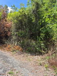 First image of Block D-lot 39 Albion Height Boulevard in Albion, St. Thomas, Jamaica - property is For Sale
