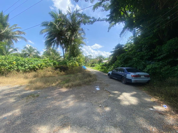 Second image of Lot 118 Sunnyside, Linstead P.o. in Linstead, St. Catherine, Jamaica - property is For Sale