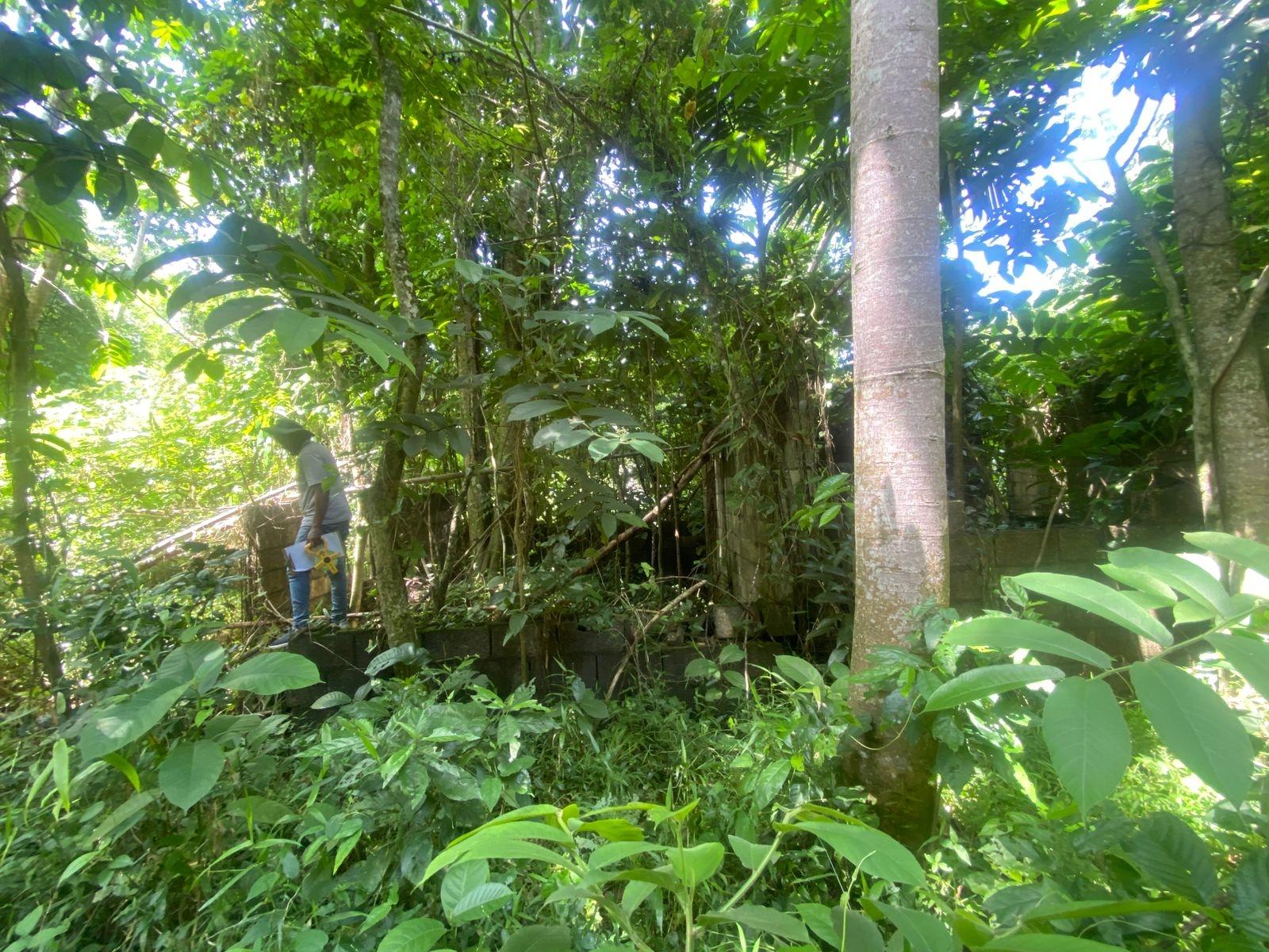 Third image of Lot 118 Sunnyside, Linstead P.o. in Linstead, St. Catherine, Jamaica - property is For Sale