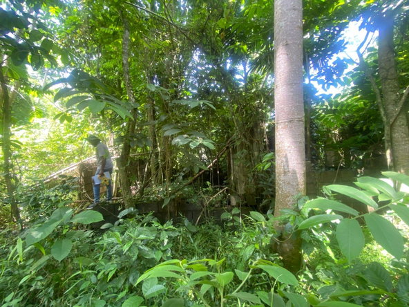Third image of Lot 118 Sunnyside, Linstead P.o. in Linstead, St. Catherine, Jamaica - property is For Sale