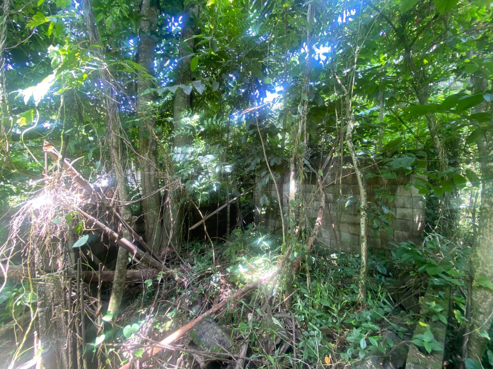 Fourth image of Lot 118 Sunnyside, Linstead P.o. in Linstead, St. Catherine, Jamaica - property is For Sale
