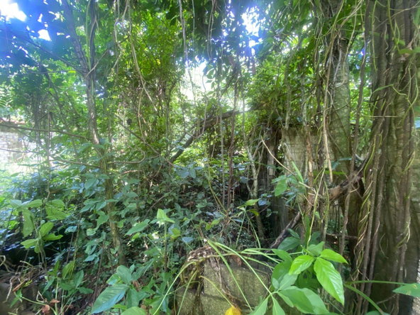 Fifth image of Lot 118 Sunnyside, Linstead P.o. in Linstead, St. Catherine, Jamaica - property is For Sale