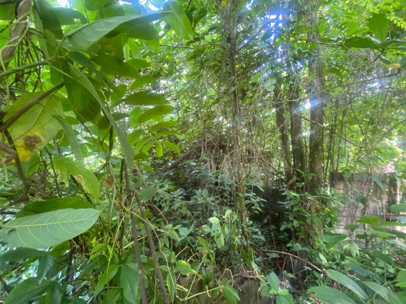 Sixth image of Lot 118 Sunnyside, Linstead P.o. in Linstead, St. Catherine, Jamaica - property is For Sale