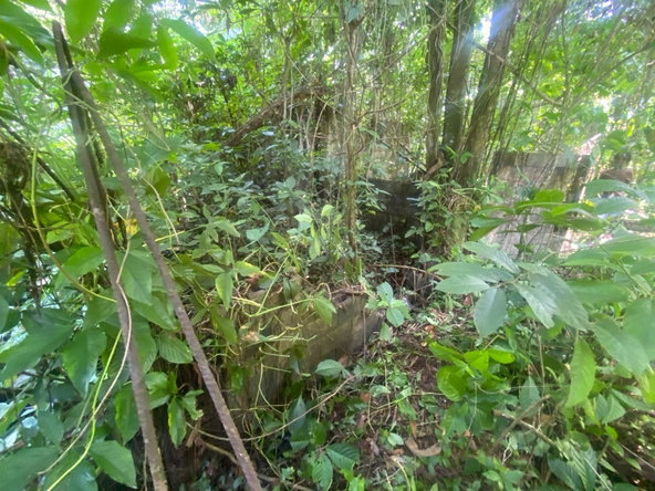 Seventh image of Lot 118 Sunnyside, Linstead P.o. in Linstead, St. Catherine, Jamaica - property is For Sale