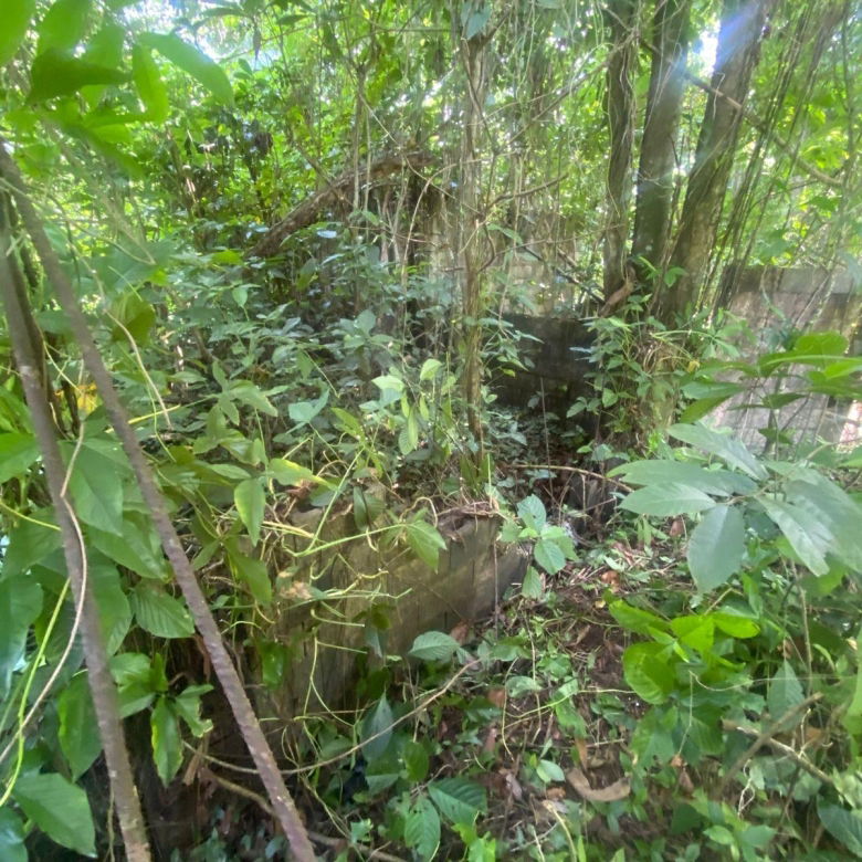 First image of Lot 118 Sunnyside, Linstead P.o. in Linstead, St. Catherine, Jamaica - property is For Sale