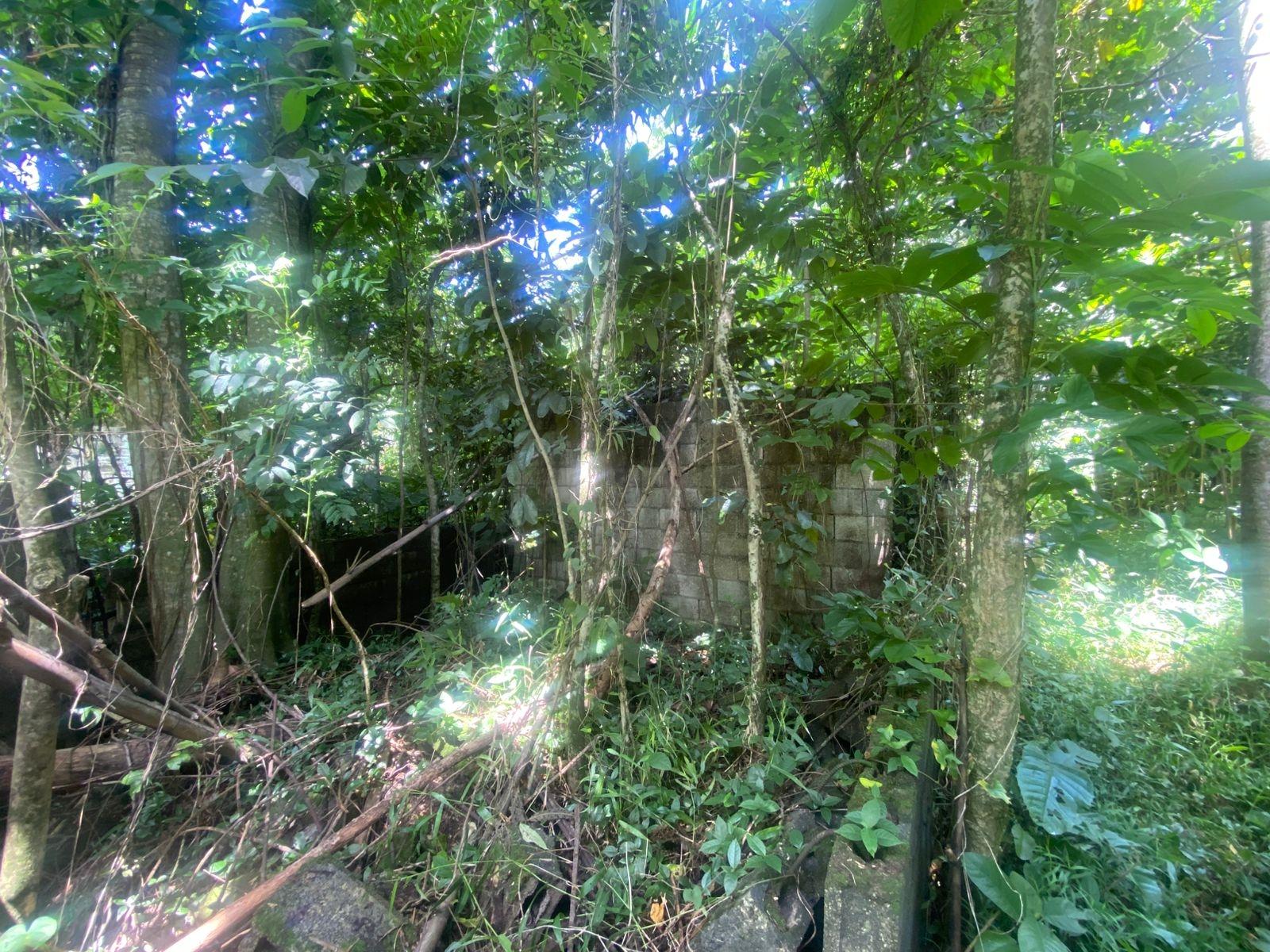 Ninth image of Lot 118 Sunnyside, Linstead P.o. in Linstead, St. Catherine, Jamaica - property is For Sale