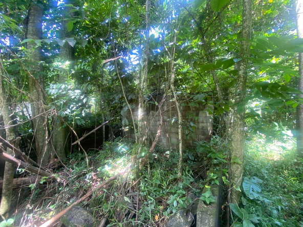 Ninth image of Lot 118 Sunnyside, Linstead P.o. in Linstead, St. Catherine, Jamaica - property is For Sale