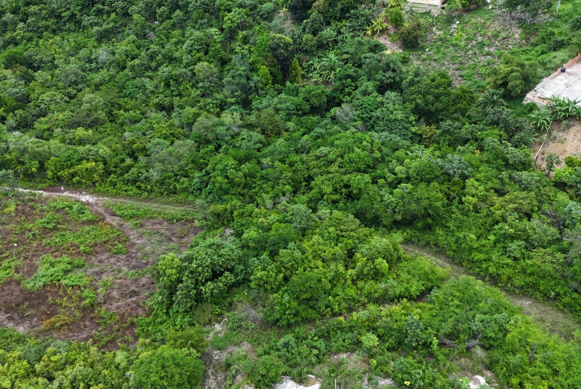 Seventh image of 309 South Hartfield in Montego Bay, St. James, Jamaica - property is For Sale