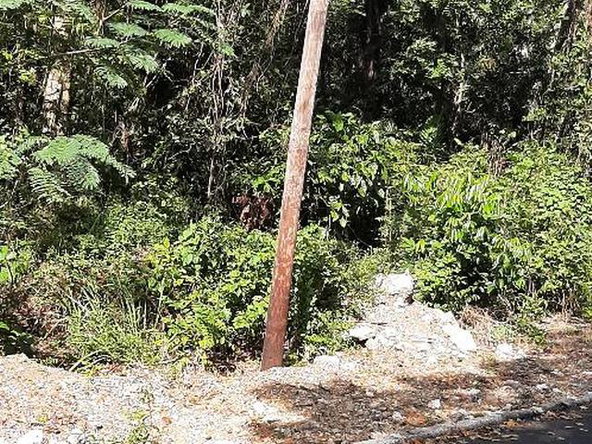 Seventh image of Lot 79 Roystonea in Tower Isle, St. Mary, Jamaica - property is For Sale