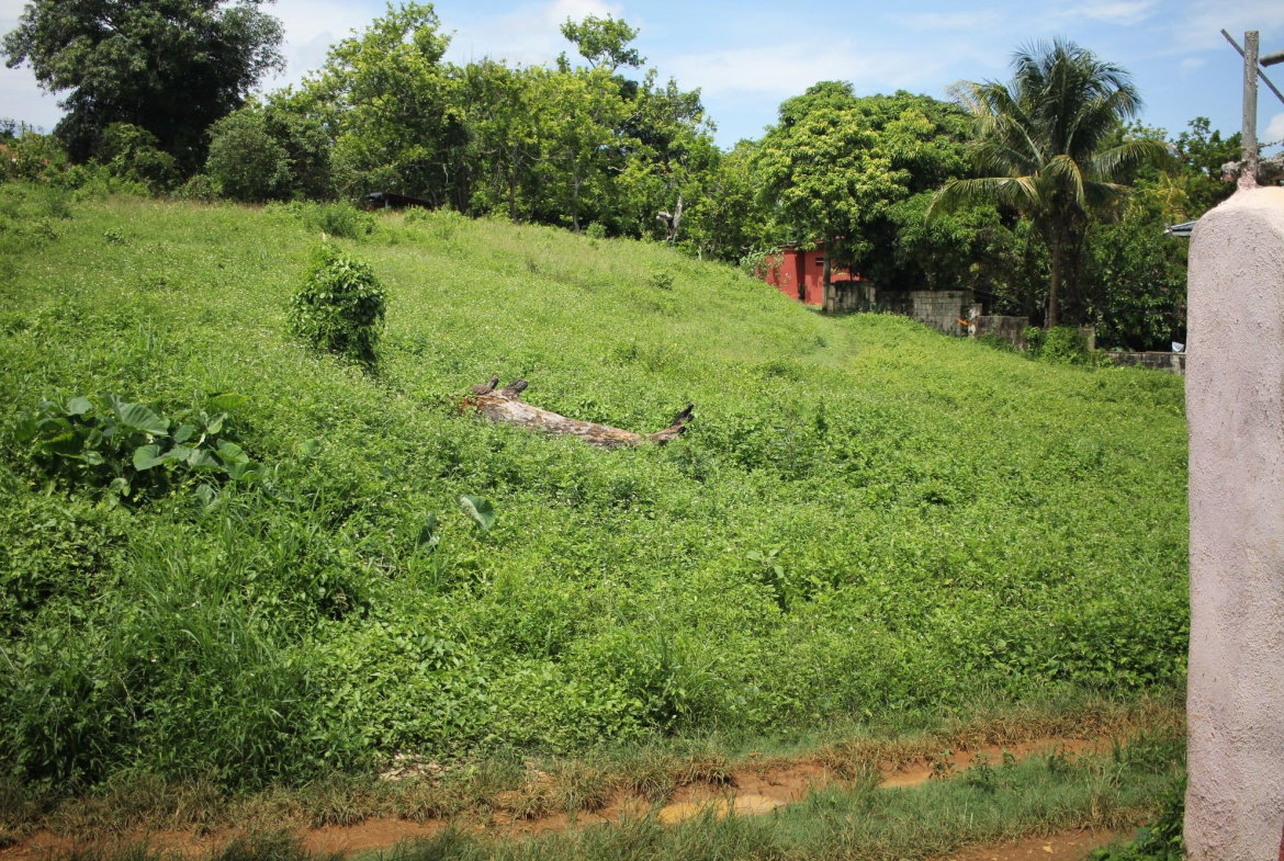 Second image of Trevmar Park in Santa Cruz, St. Elizabeth, Jamaica - property is For Sale