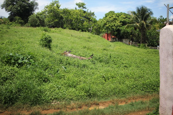 Second image of Trevmar Park in Santa Cruz, St. Elizabeth, Jamaica - property is For Sale