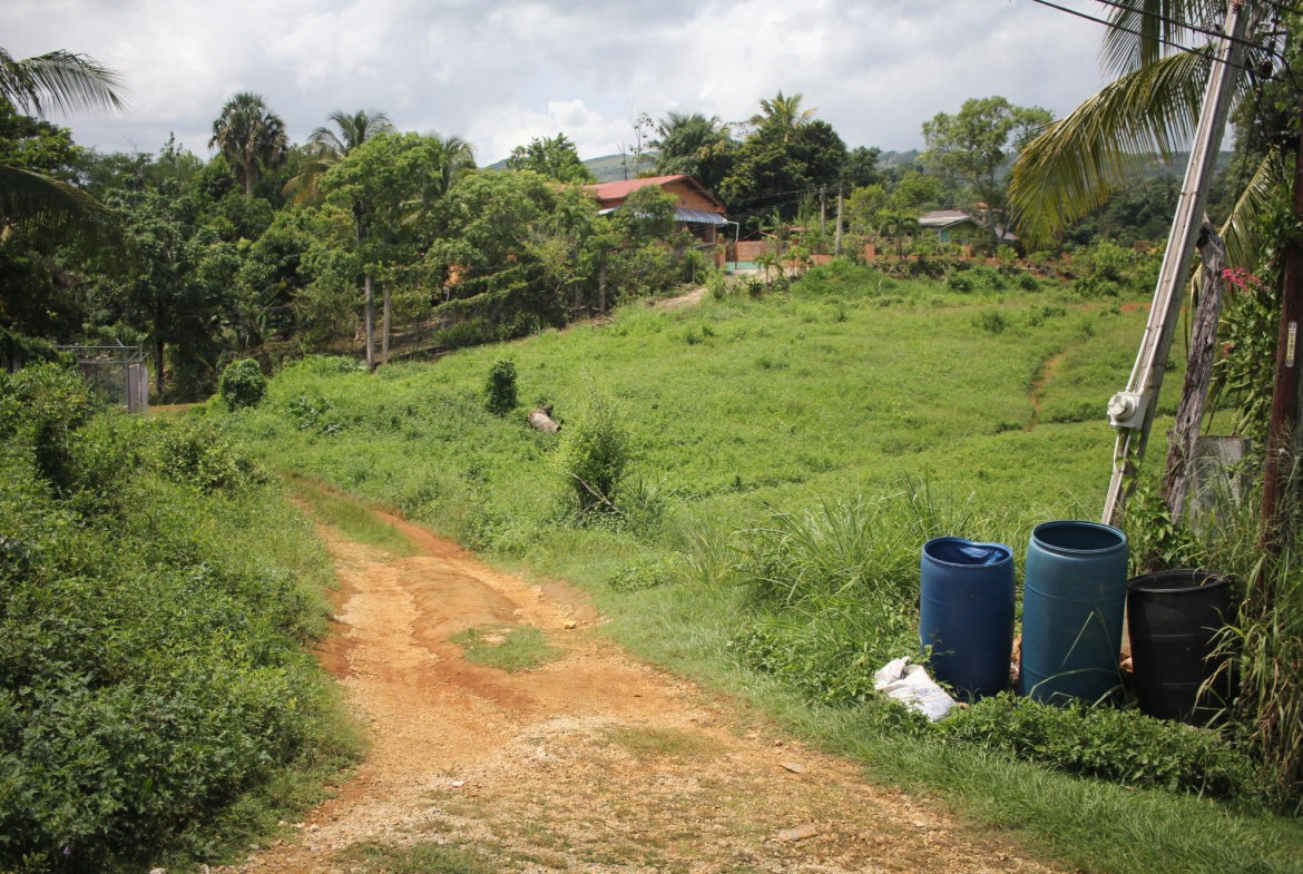 Third image of Trevmar Park in Santa Cruz, St. Elizabeth, Jamaica - property is For Sale