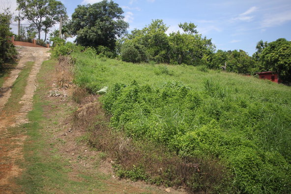Fourth image of Trevmar Park in Santa Cruz, St. Elizabeth, Jamaica - property is For Sale