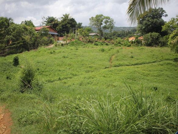 First image of Trevmar Park in Santa Cruz, St. Elizabeth, Jamaica - property is For Sale