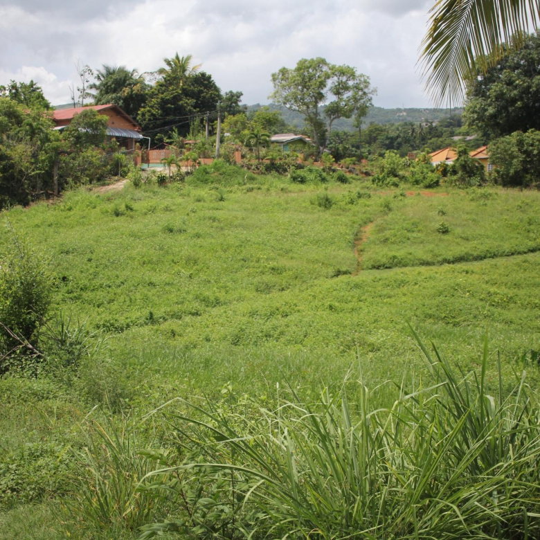 First image of Trevmar Park in Santa Cruz, St. Elizabeth, Jamaica - property is For Sale