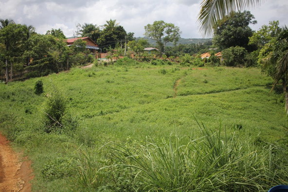 First image of Trevmar Park in Santa Cruz, St. Elizabeth, Jamaica - property is For Sale