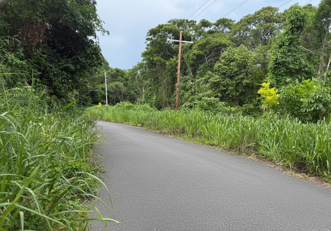 Fourth image of 46 Poinciana Avenue in Runaway Bay, St. Ann, Jamaica - property is For Sale