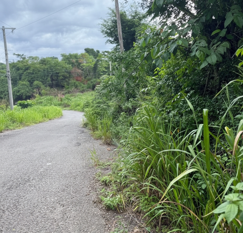 Fifth image of 46 Poinciana Avenue in Runaway Bay, St. Ann, Jamaica - property is For Sale