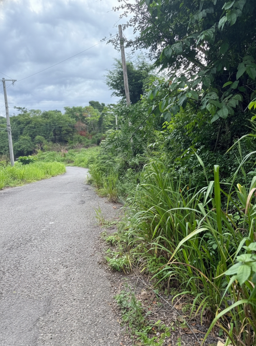 Fifth image of 46 Poinciana Avenue in Runaway Bay, St. Ann, Jamaica - property is For Sale
