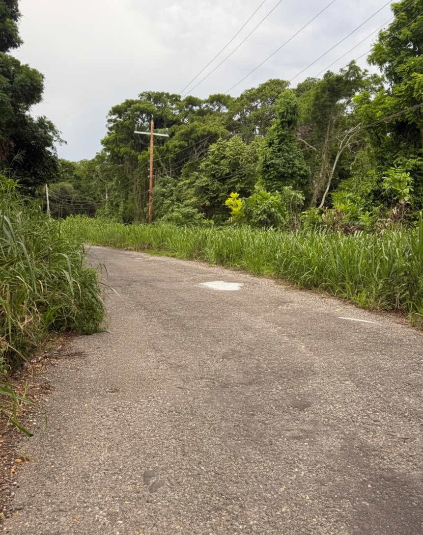 Sixth image of 46 Poinciana Avenue in Runaway Bay, St. Ann, Jamaica - property is For Sale