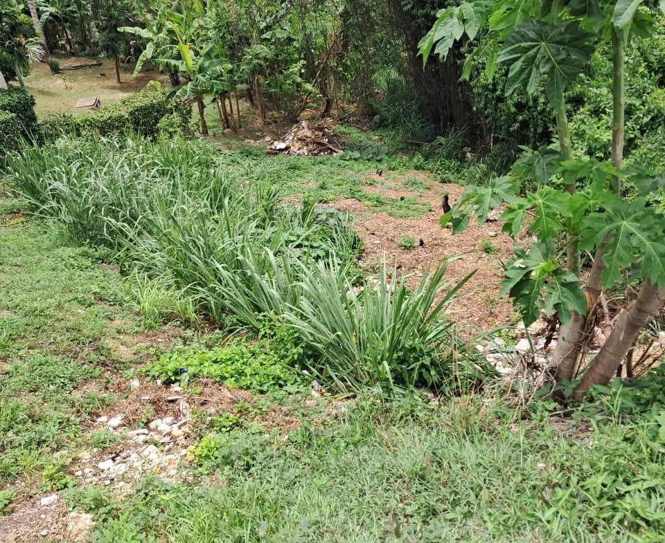 Fourth image of 198 Westgate Hills, St. James in Westgate Hills, St. James, Jamaica - property is For Sale