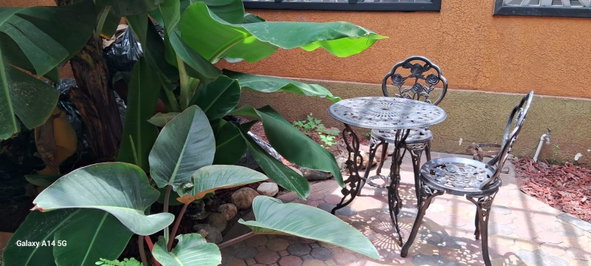 Twenty-Third image of 8 Acadia Circle in Kingston 6, St. Andrew, Jamaica - property is For Rent