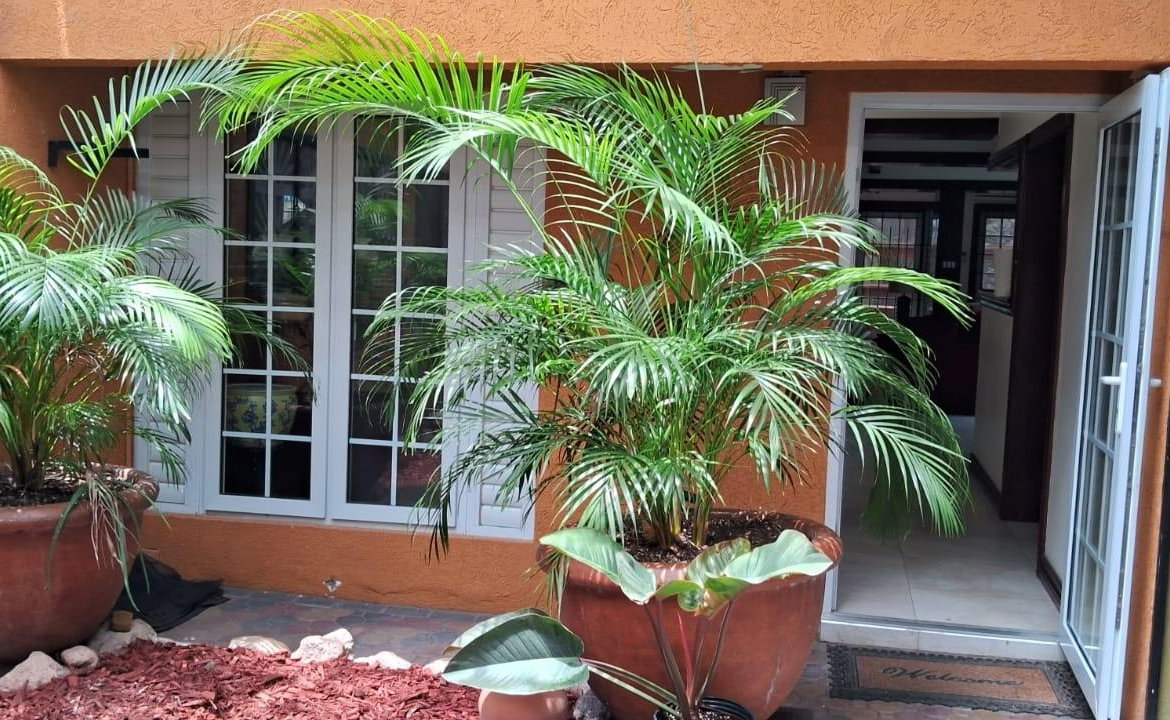 Fourth image of 8 Acadia Circle in Kingston 6, St. Andrew, Jamaica - property is For Rent