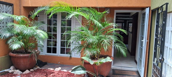 Fourth image of 8 Acadia Circle in Kingston 6, St. Andrew, Jamaica - property is For Rent