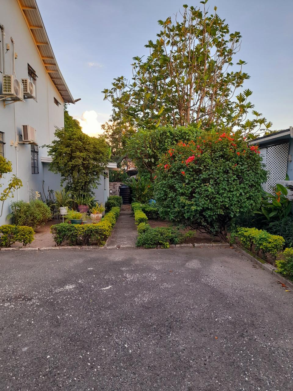 Spacious-1-Bedroom-Apartment-for-Rent-on-Shortwood-Road-Kingston-St.-Andrew Fourteenth image of Apt #6-54 Shortwood Road, Kingston in Kingston 8, St. Andrew, Jamaica - property is For Rent