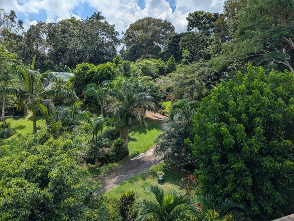 Twelfth image of Villa Road Mandeville in Mandeville, Manchester, Jamaica - property is For Sale