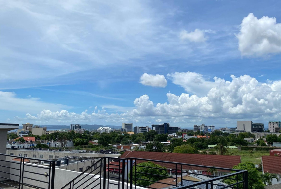 Eighteenth image of 12-1 Fairway Avenue, Kingston in Kingston 6, St. Andrew, Jamaica - property is For Rent