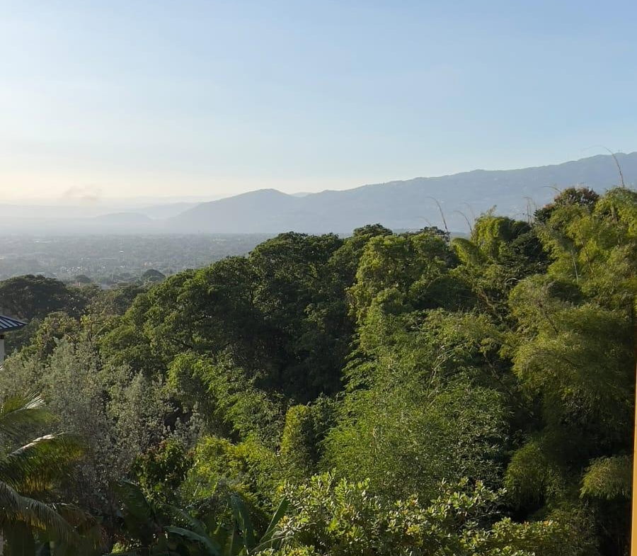 Twenty-First image of 4-1c Tavistock Terrace, Kingst in Kingston 6, St. Andrew, Jamaica - property is For Rent