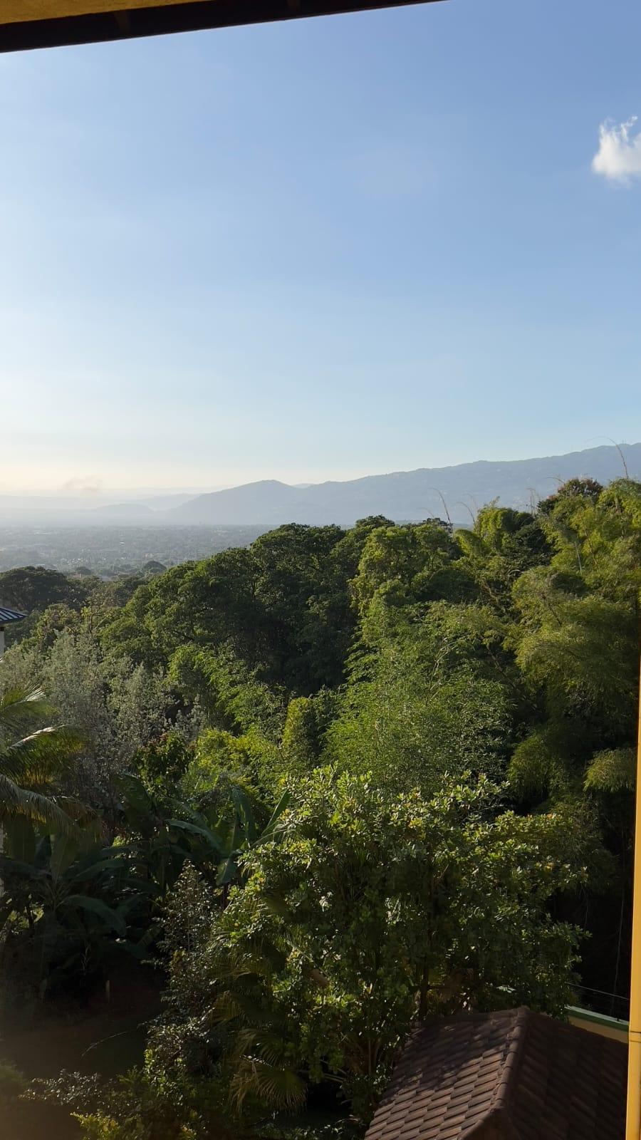 Twenty-First image of 4-1c Tavistock Terrace, Kingst in Kingston 6, St. Andrew, Jamaica - property is For Rent