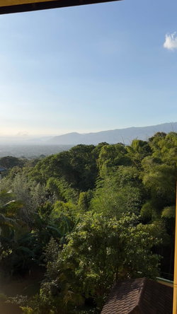 Twenty-First image of 4-1c Tavistock Terrace, Kingst in Kingston 6, St. Andrew, Jamaica - property is For Rent