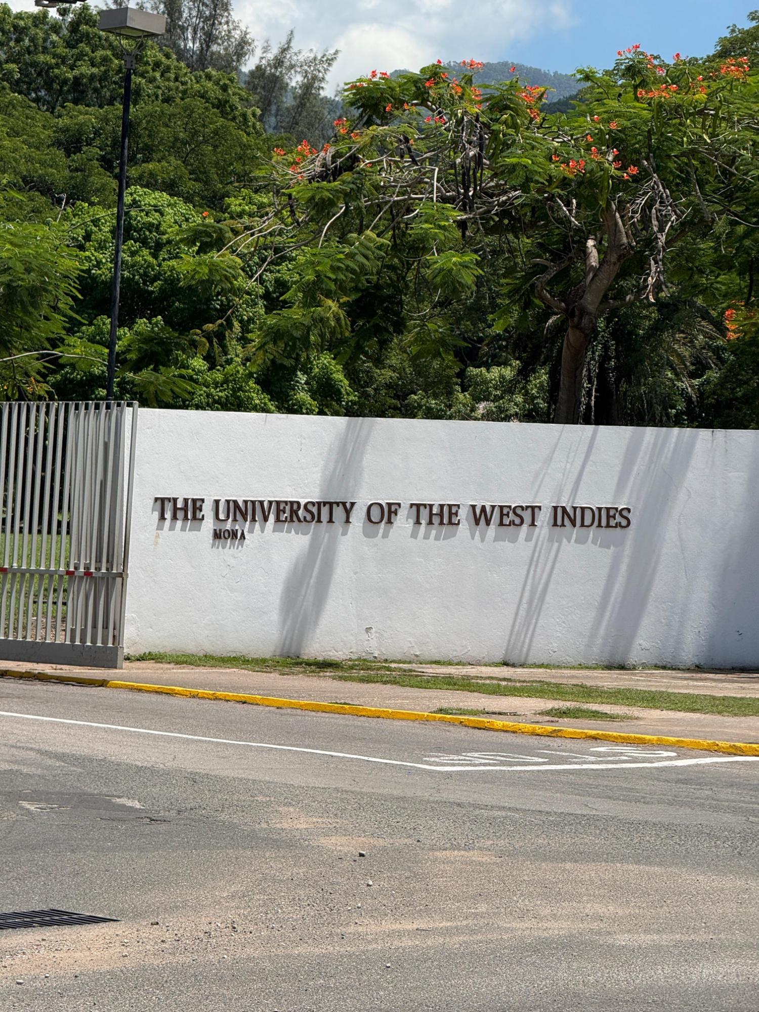 Twenty-Fifth image of Spathodia Avenue, Mona he in Kingston 6, St. Andrew, Jamaica - property is For Rent