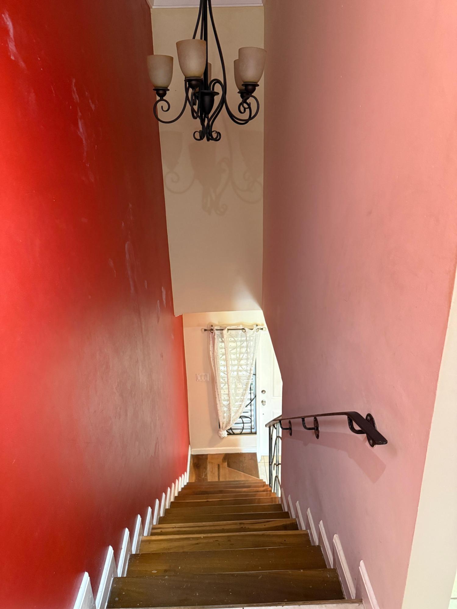 Ninth image of Spathodia Avenue, Mona he in Kingston 6, St. Andrew, Jamaica - property is For Rent