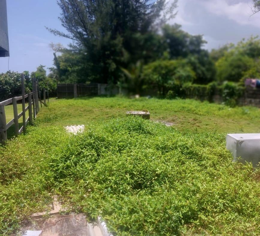 Third image of Golden Grove in Axe And Adze, Hanover, Jamaica - property is For Sale