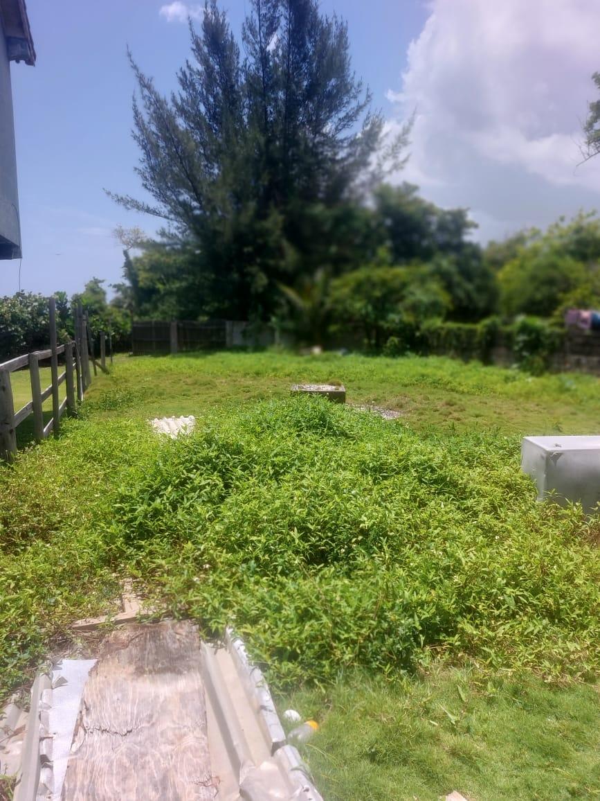 Third image of Golden Grove in Axe And Adze, Hanover, Jamaica - property is For Sale