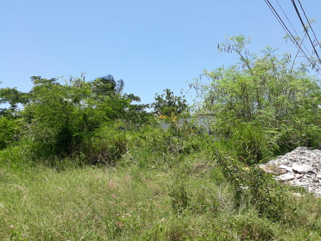 Fifth image of Golden Grove in Axe And Adze, Hanover, Jamaica - property is For Sale