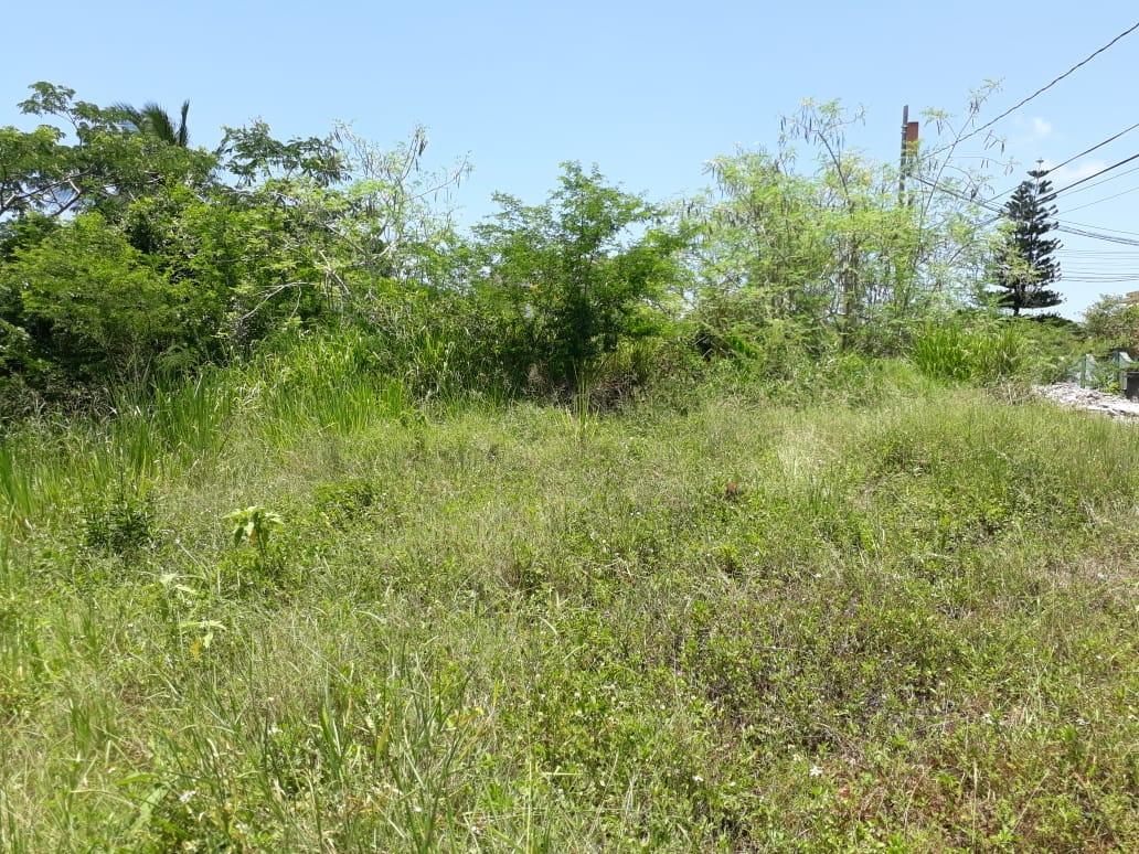 Sixth image of Golden Grove in Axe And Adze, Hanover, Jamaica - property is For Sale