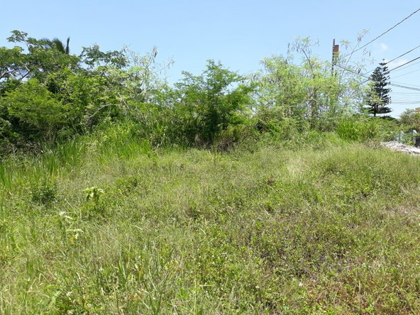 Sixth image of Golden Grove in Axe And Adze, Hanover, Jamaica - property is For Sale