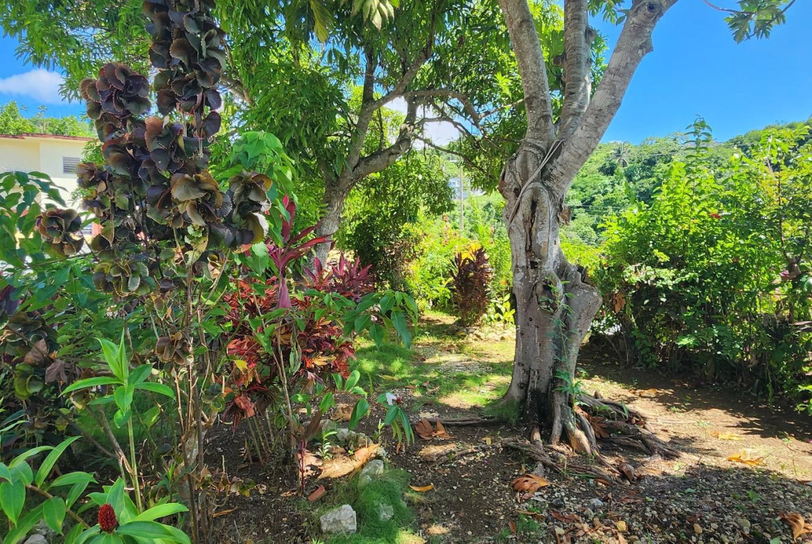 Twelfth image of 417 Portobello Heights in Porto Bello Heights, St. James, Jamaica - property is For Rent