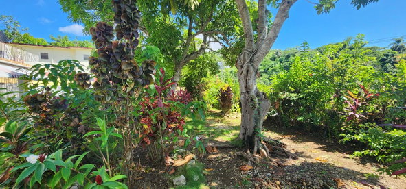 Twelfth image of 417 Portobello Heights in Porto Bello Heights, St. James, Jamaica - property is For Rent