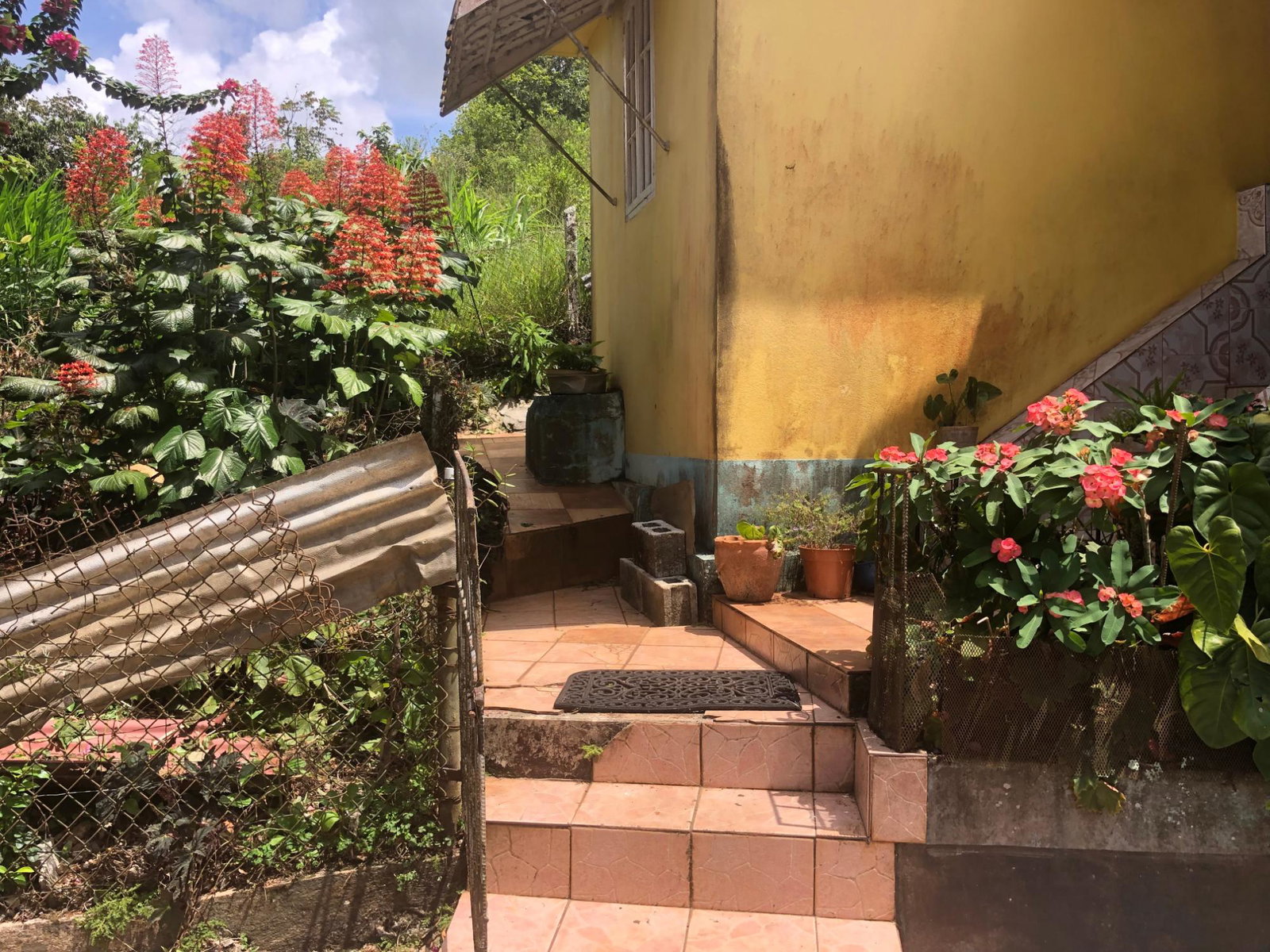 Eighth image of Culloden, Brown's Town in Browns Town, St. Ann, Jamaica - property is For Sale